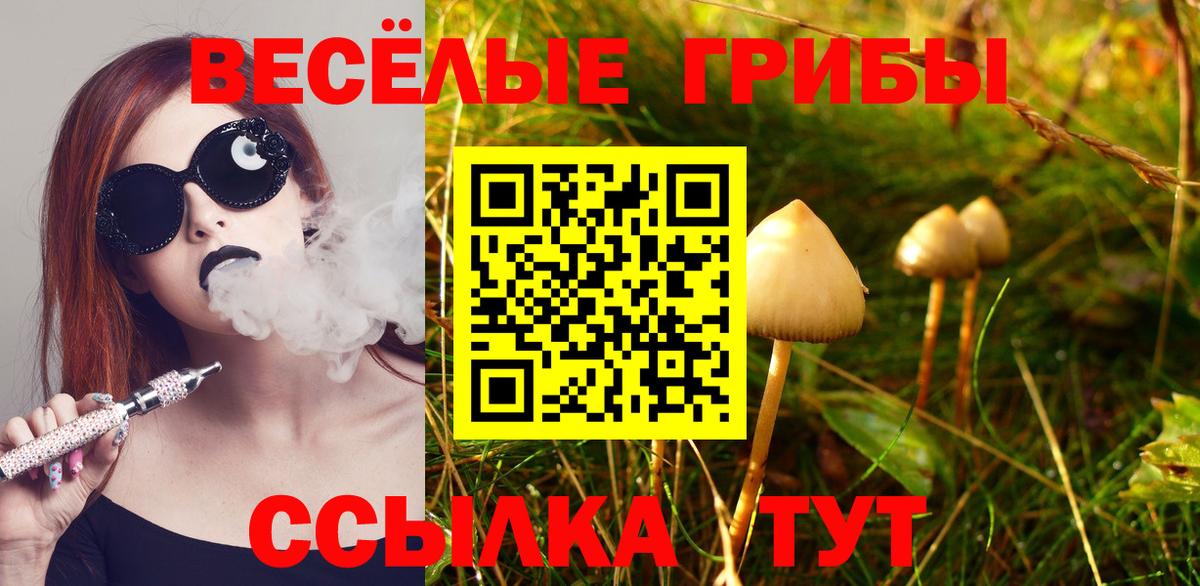 Псилоцибиновые грибы GOLDEN TEACHER Арсеньев